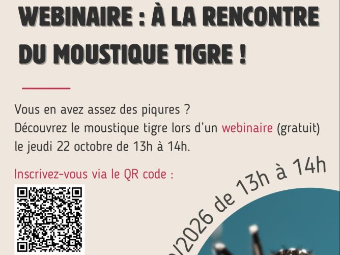 Webinaire : à la rencontre du moustique tigre !