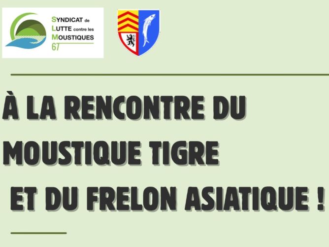 Réunion publique - A la rencontrer du moustique tigre et du frelon asiatique ! 