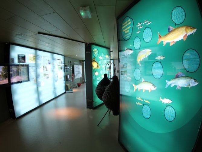 Théâtre à la passe à poissons